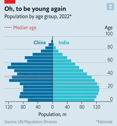 Chinese Population Pyramid